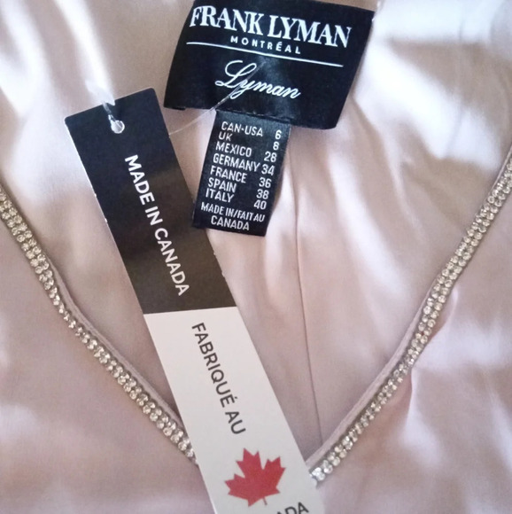 Frank Lyman Montreal Blush Pink Shift Dress Chiffon Overlay Size 6 NWT - Picture 6 of 8